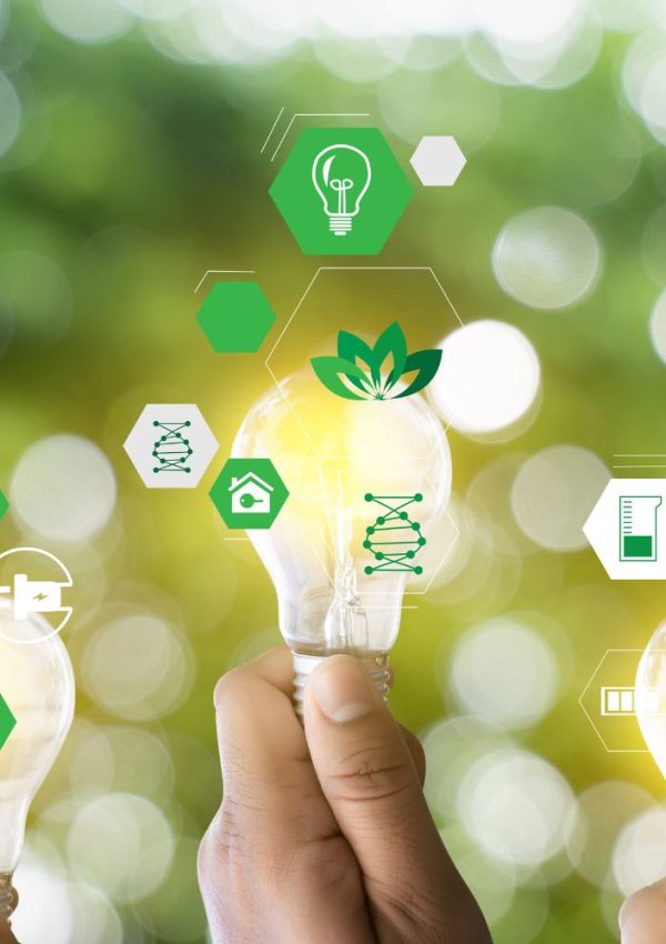 zakup energii na giełdzie, zmiana dostawcy prądu, zmiana dostawcy gazu